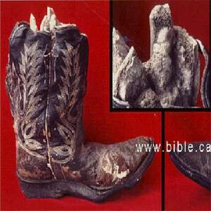 Petrified Cowboy Boot