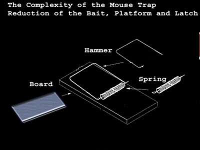 Mouse - Trap - Complex